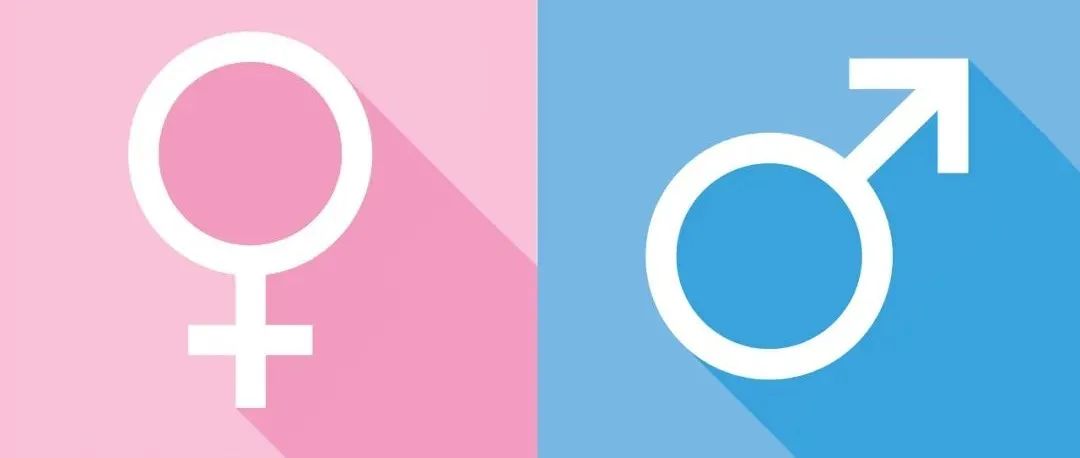 都是Y染色體惹的禍！